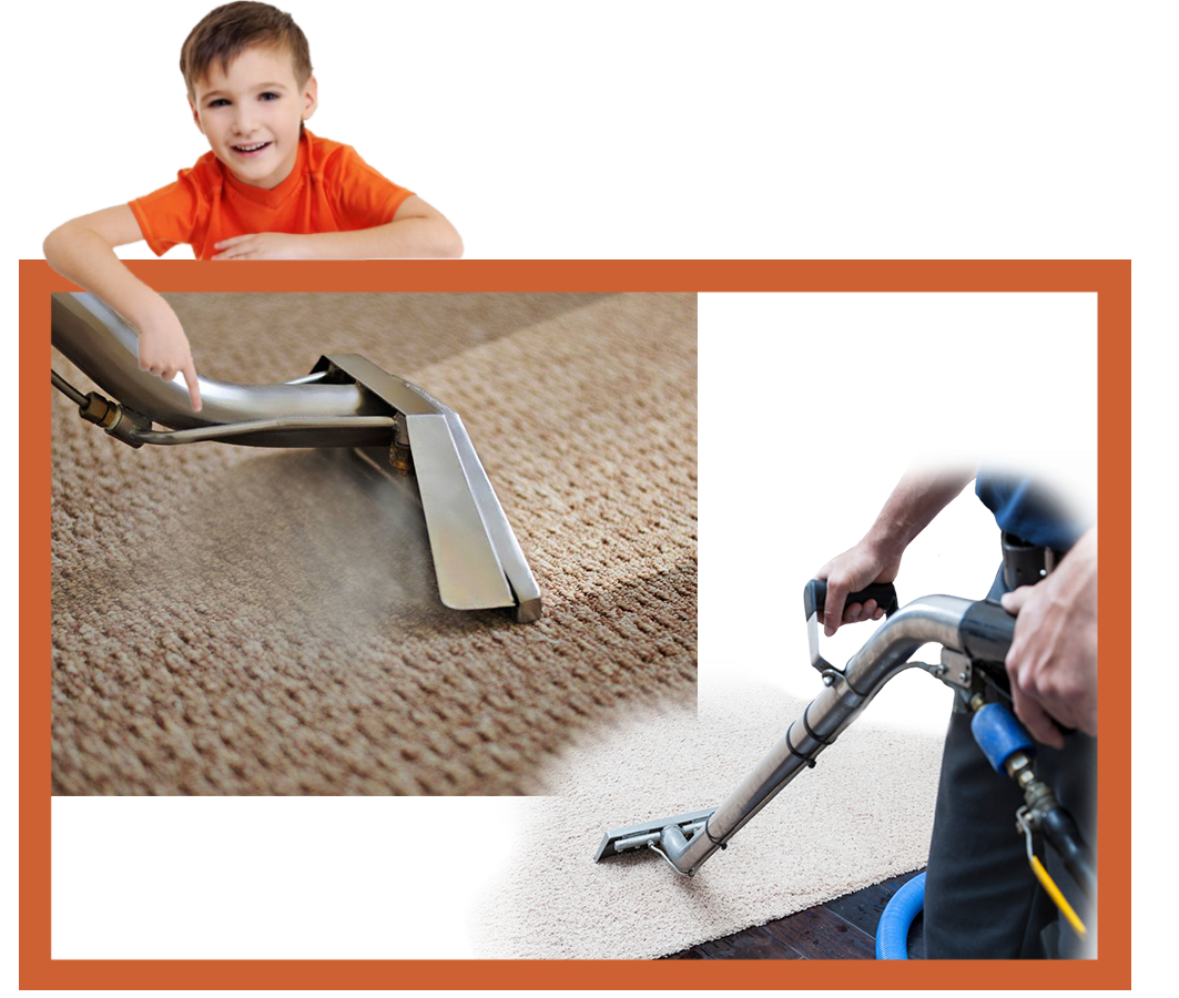 Green Certified Carpet Cleaners